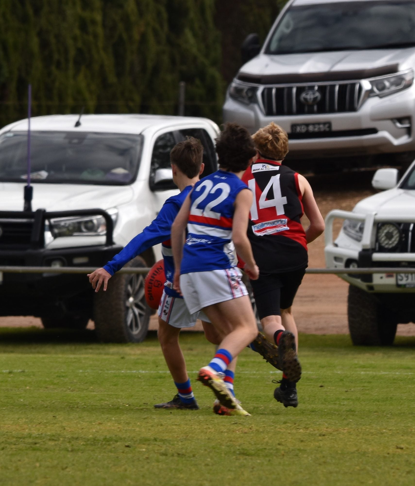 DSC_0511.JPG