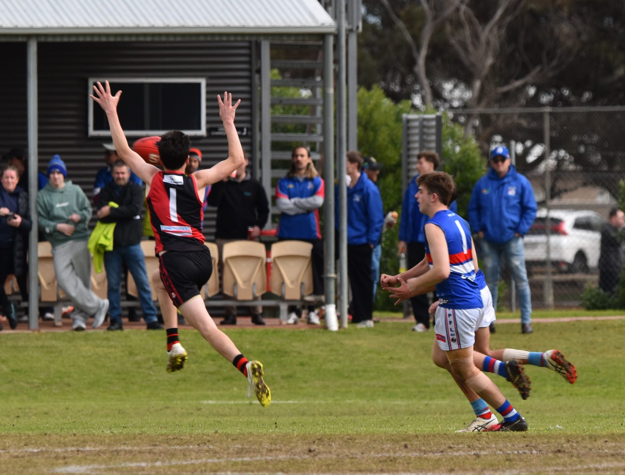 DSC_0503.JPG