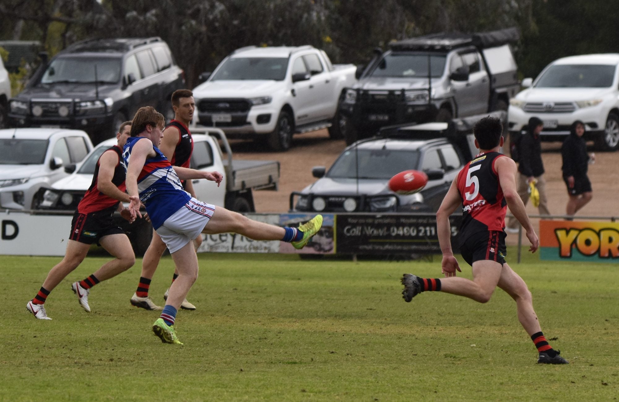 DSC_0667.JPG