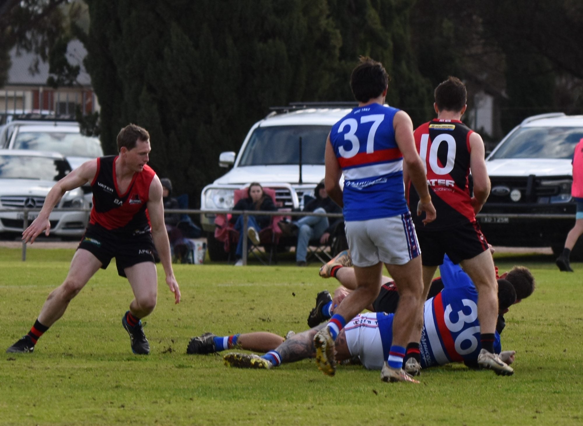 DSC_0711.JPG